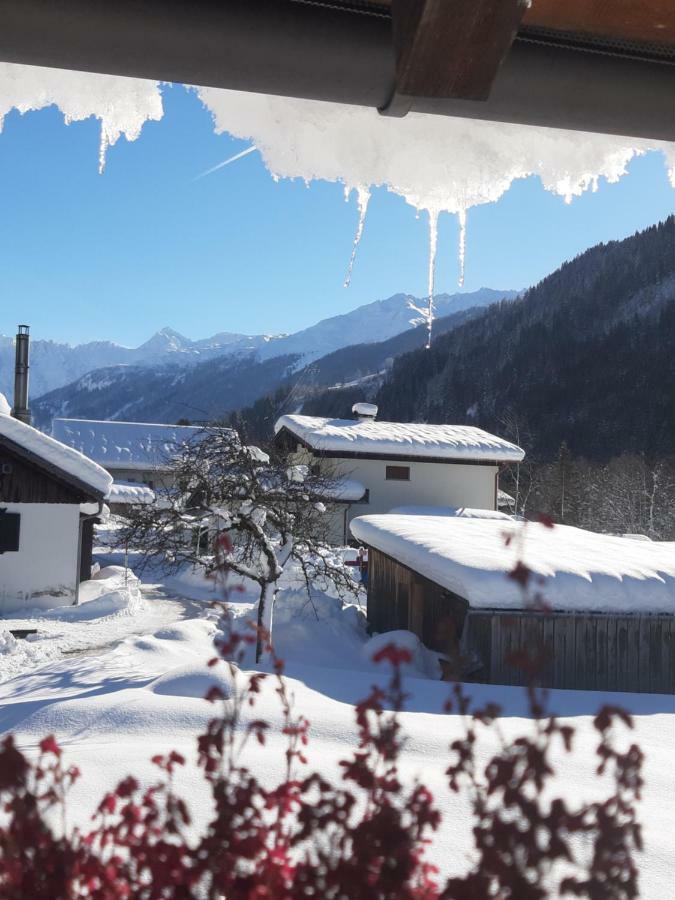 Ferienwohnung Andrea Sankt Gallenkirch Exteriér fotografie
